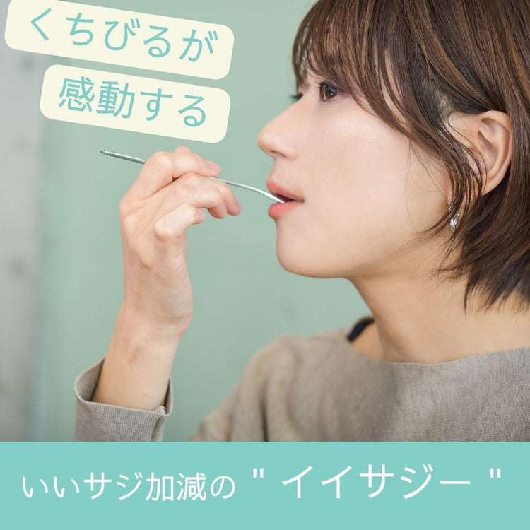 iisazy spoon & fork set 揃-soroi-