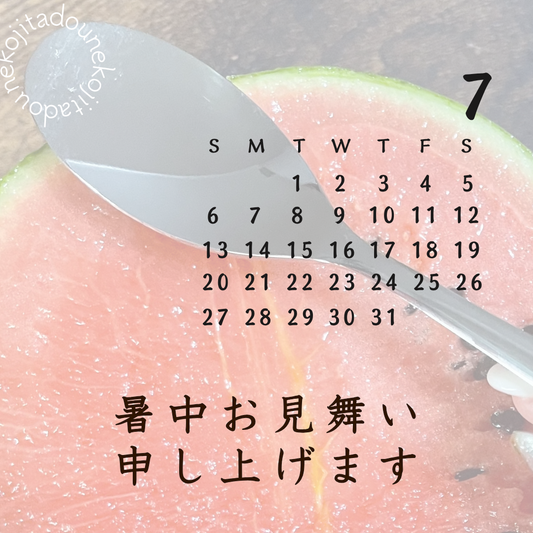 2025年上半期人気商品ご紹介【猫舌堂の食堂から〜第61号〜】