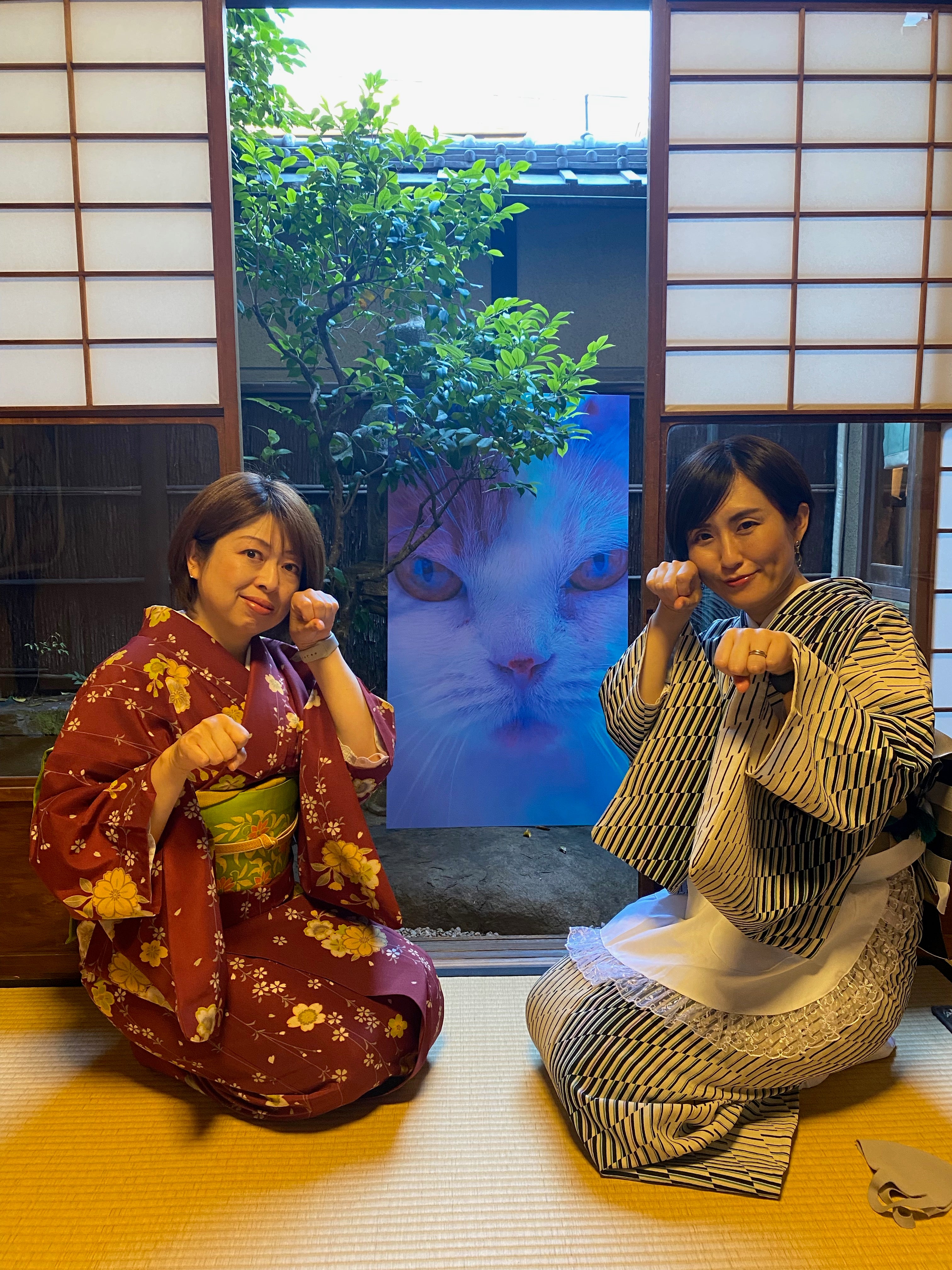 第26号(2022/6)　猫と着物が融合！？キャッと驚くイベント開催